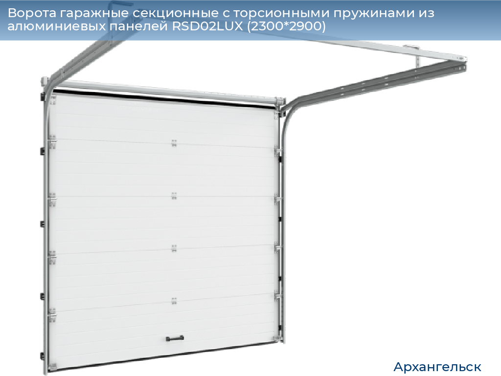 Ворота гаражные секционные с торсионными пружинами из алюминиевых панелей RSD02LUX (2300*2900), arhangelsk.doorhan.ru