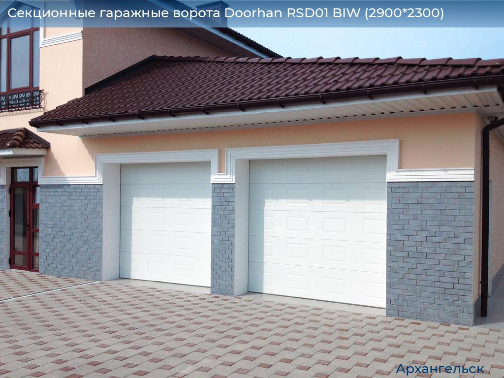 Секционные гаражные ворота Doorhan RSD01 BIW (2900*2300), arhangelsk.doorhan.ru