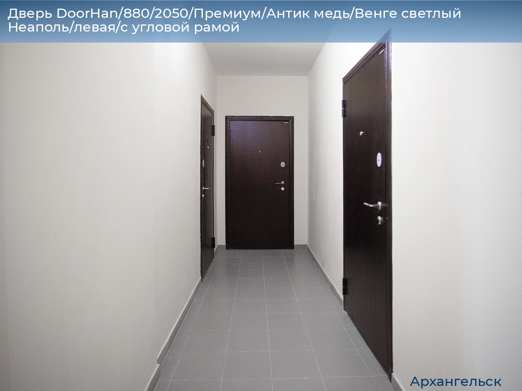 Дверь DoorHan/880/2050/Премиум/Антик медь/Венге светлый Неаполь/левая/с угловой рамой, arhangelsk.doorhan.ru