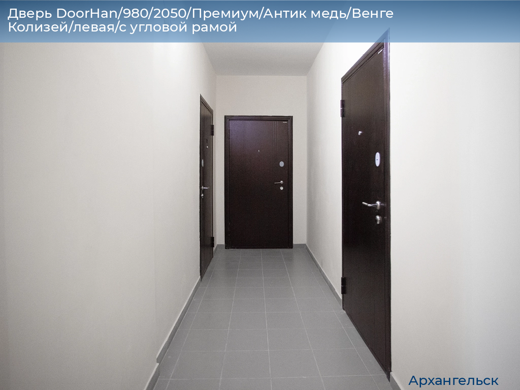 Дверь DoorHan/980/2050/Премиум/Антик медь/Венге Колизей/левая/с угловой рамой, arhangelsk.doorhan.ru